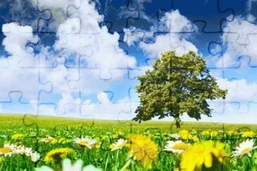 image jigsaw puzzle