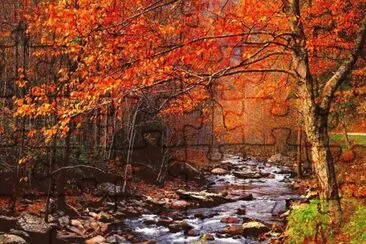 ARROYO (8) jigsaw puzzle