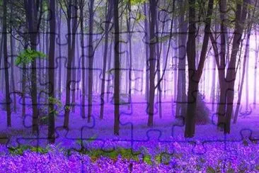 Morning Mist