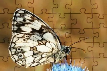 . jigsaw puzzle