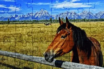 CABALLO jigsaw puzzle