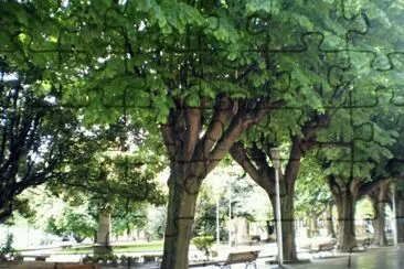 ALAMEDA