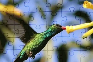 ImÃ¡genes jigsaw puzzle
