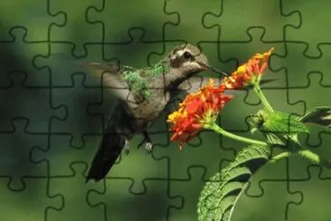 ImÃ¡genes jigsaw puzzle