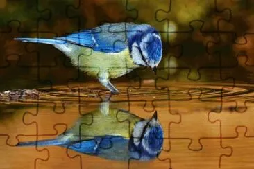 ImÃ¡genes jigsaw puzzle