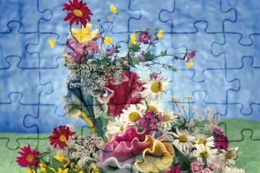 + jigsaw puzzle