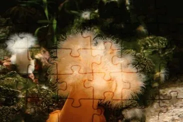 Ga. Aquarium