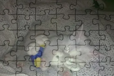 LULU DE CENTRAL jigsaw puzzle