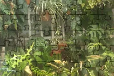 JARDIN jigsaw puzzle