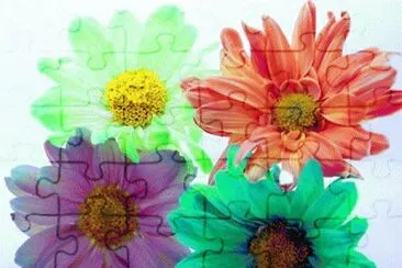 image jigsaw puzzle