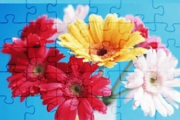 image jigsaw puzzle