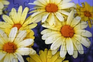 image jigsaw puzzle