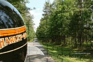 The Ride