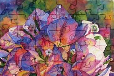 bougainvillea