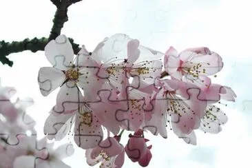 flores jigsaw puzzle
