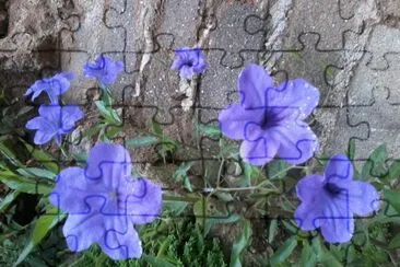 Campanillas violetas