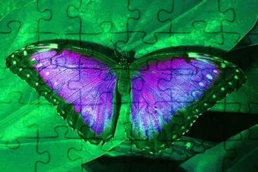 image jigsaw puzzle