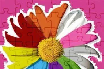 image jigsaw puzzle