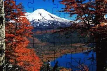 184 jigsaw puzzle