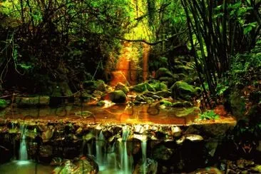 פאזל של sunbeam creek
