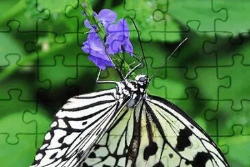 . jigsaw puzzle