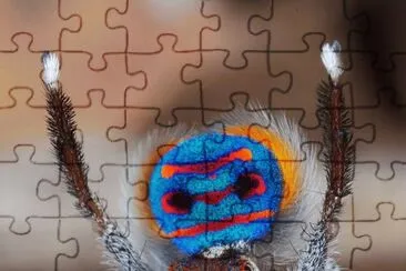 . jigsaw puzzle