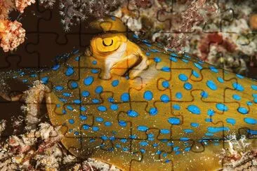 . jigsaw puzzle