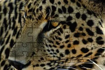 . jigsaw puzzle