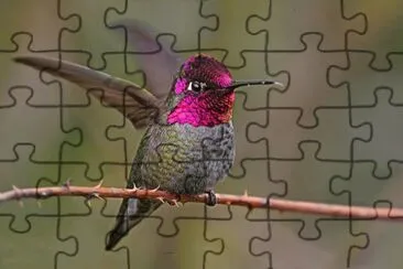 . jigsaw puzzle
