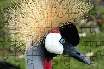 . jigsaw puzzle