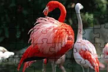 . jigsaw puzzle