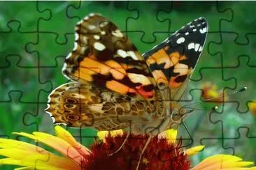 . jigsaw puzzle