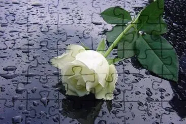 foto jigsaw puzzle