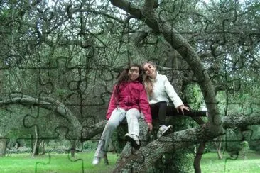 פאזל של en el arbol