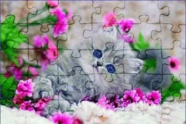 image jigsaw puzzle