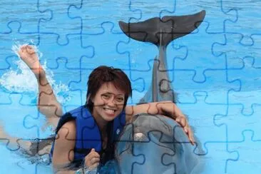 delfin