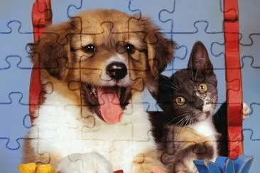 Perro-Gatito