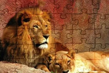 Rey Leon