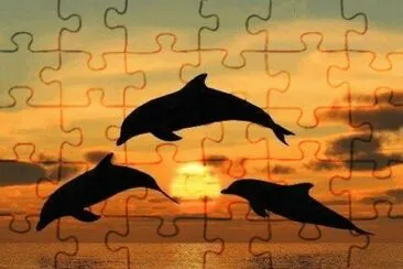 DELFINES