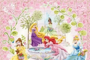 Belle Rapunzel Tiana Ariel Cinderella