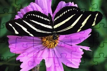 flores jigsaw puzzle