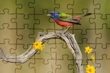 e jigsaw puzzle