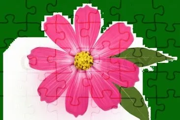 image jigsaw puzzle