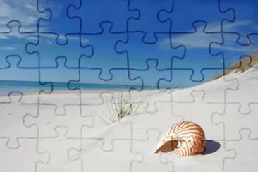 LBI jigsaw puzzle