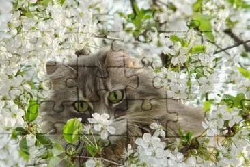 q jigsaw puzzle