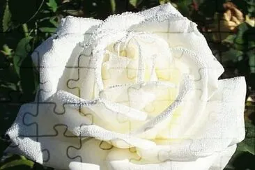 q jigsaw puzzle