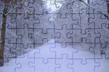 winter