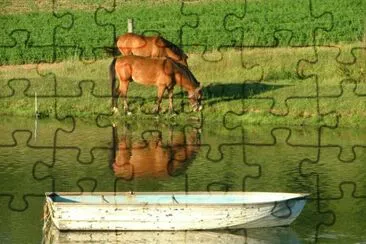 פאזל של farm pond