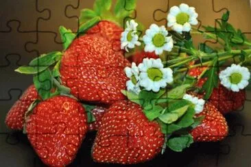 image jigsaw puzzle