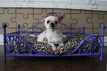 Luxury Purple Dog Bed